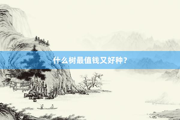 什么树最值钱又好种？