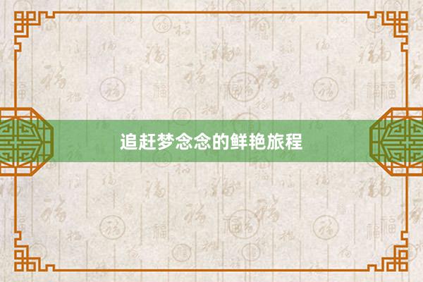 追赶梦念念的鲜艳旅程